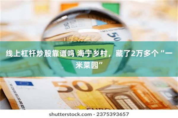 线上杠杆炒股靠谱吗 海宁乡村，藏了2万多个“一米菜园”