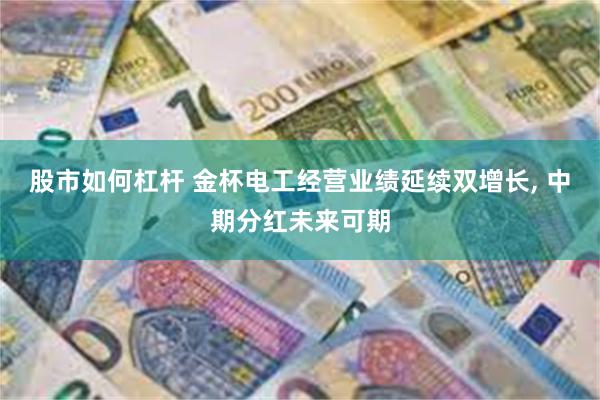 股市如何杠杆 金杯电工经营业绩延续双增长, 中期分红未来可期