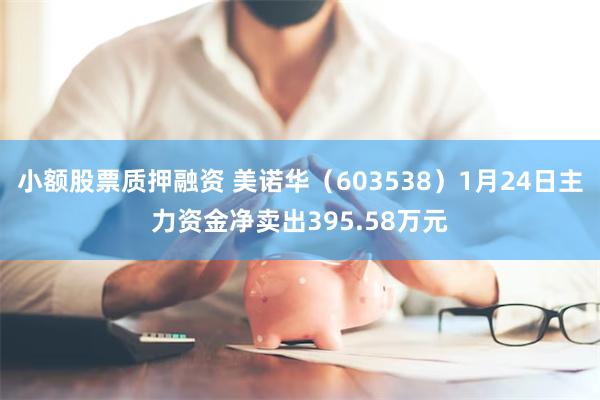 小额股票质押融资 美诺华（603538）1月24日主力资金净卖出395.58万元