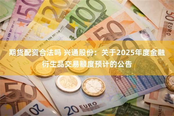 期货配资合法吗 兴通股份：关于2025年度金融衍生品交易额度预计的公告