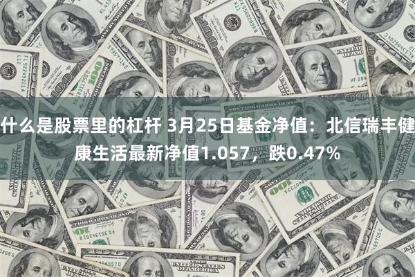 什么是股票里的杠杆 3月25日基金净值：北信瑞丰健康生活最新净值1.057，跌0.47%