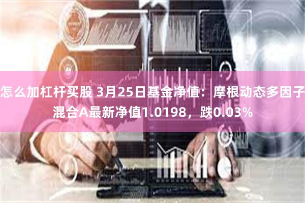 怎么加杠杆买股 3月25日基金净值：摩根动态多因子混合A最新净值1.0198，跌0.03%