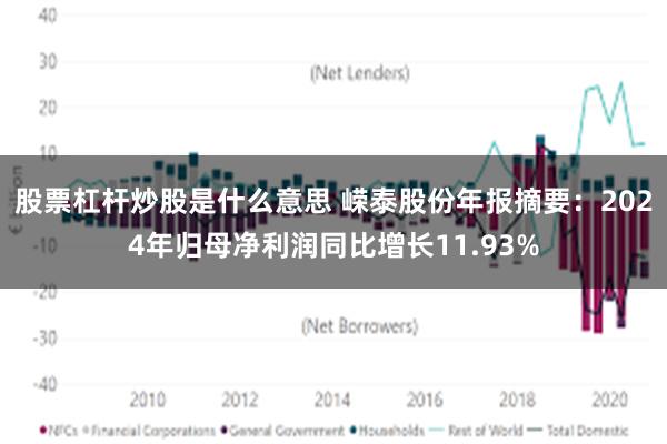 股票杠杆炒股是什么意思 嵘泰股份年报摘要：2024年归母净利润同比增长11.93%