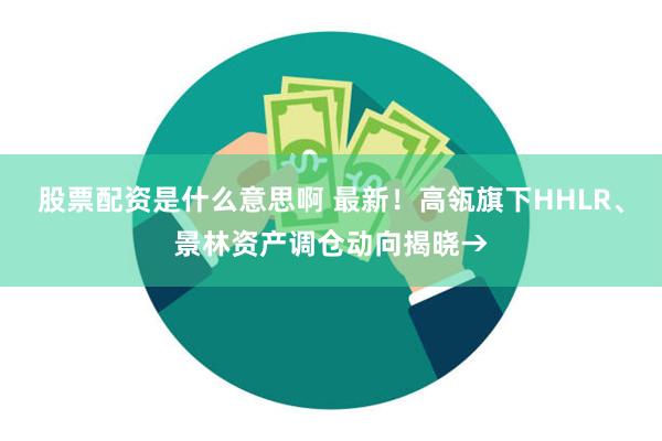 股票配资是什么意思啊 最新！高瓴旗下HHLR、景林资产调仓动向揭晓→
