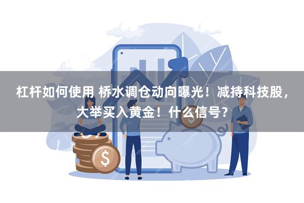 杠杆如何使用 桥水调仓动向曝光！减持科技股，大举买入黄金！什么信号？