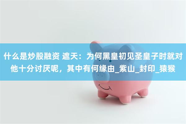 什么是炒股融资 遮天：为何黑皇初见圣皇子时就对他十分讨厌呢，其中有何缘由_紫山_封印_猿猴