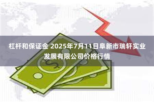 杠杆和保证金 2025年7月11日阜新市瑞轩实业发展有限公司价格行情