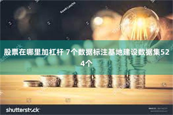 股票在哪里加杠杆 7个数据标注基地建设数据集524个