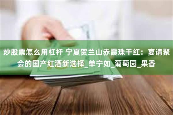 炒股票怎么用杠杆 宁夏贺兰山赤霞珠干红：宴请聚会的国产红酒新选择_单宁如_葡萄园_果香