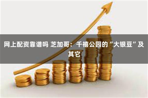 网上配资靠谱吗 芝加哥：千禧公园的“大银豆”及其它