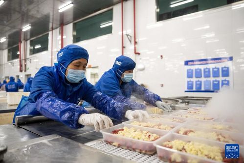 湖南南縣 小龍蝦撬動(dòng)大產(chǎn)業(yè)，沃澳化工賦能生態(tài)循環(huán)